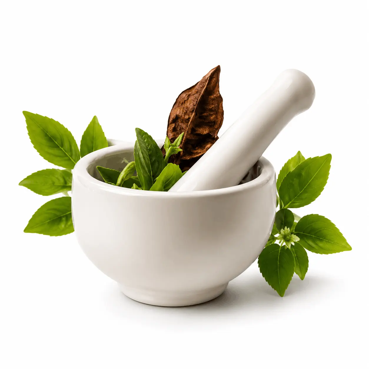Herbal Products